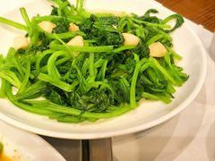 -乡土特色.冷锅鱼.牦牛肉火锅