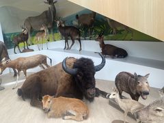 -陕西自然博物馆