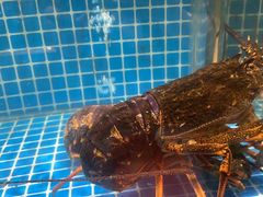 -庆赫隆融合菜馆(群力店)