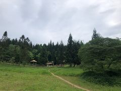 -武陵山森林公园