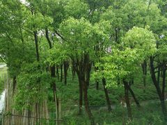 -锦江中华村农家乐饭庄