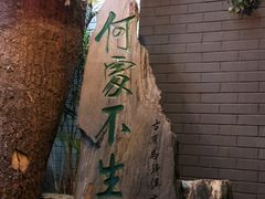 -楚畹园