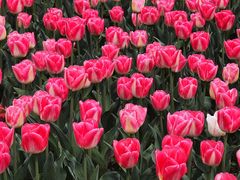 -玄武湖景区-情侣园游乐场