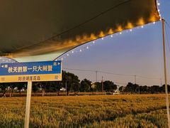 -莲花岛景区