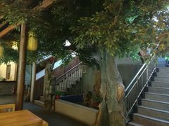 -都江堰石锅鱼