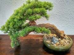 -汉阴白火石汆汤