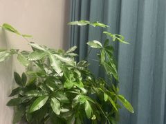 -悠然爱空间高尔夫温泉别墅轰趴馆(思念果岭店)