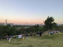 -那考河湿地公园