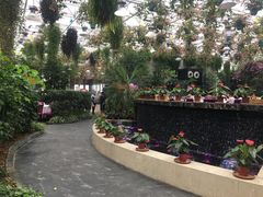 -天宫南铂玫瑰园酒店
