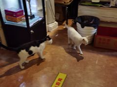 -逃脱反斗城沉浸剧情密室(北京路店)