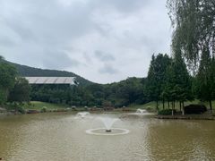 -龙吟九品(青龙山庄店)