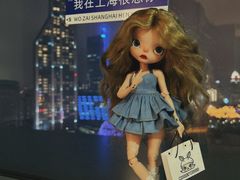 -上海雅居乐万豪侯爵酒店