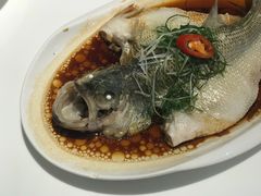 -至潮餐厅精致粤菜·活鲈鱼·走地鸡(珠江新城店)