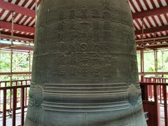 -越秀西湖花市(广州城市广场花卉店)