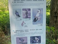 -同里国家湿地公园
