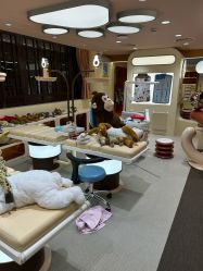 -奈尔宝·国风主题儿童乐园·亲子餐厅(豫园商城店)