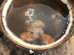 原只椰子炖竹丝鸡-達揚原味燉品(文明路店)