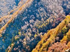 -灵山