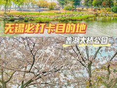 -蠡湖大桥公园