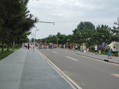 -日照海滨国家森林公园