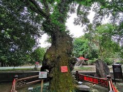 -桂林灵渠景区