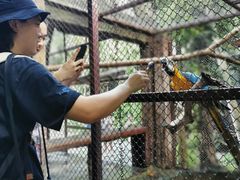 -清迈夜间动物园