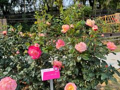 -人民公园(罗湖区)