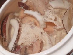 印度椰皇炖老鸽（小鼎）-大鸽饭(岗顶店)