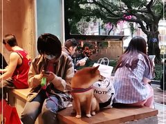 -来回·咖啡(天河南店)