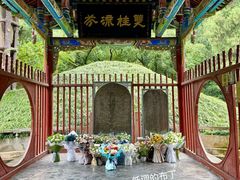 -武侯墓风景区
