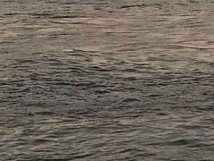 -武昌江滩