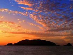 -珍记海鲜粥·海鲜粉