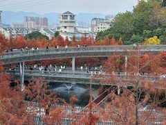 -福道