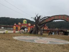 -绵阳盛世樱花悠乐谷