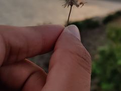 -维乐口腔医院(星海湾分院)
