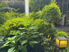 -虹之森·小馆