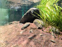 -青木造型HAIR·あおき髪を刈る潮人店