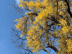 -苏州碑刻博物馆