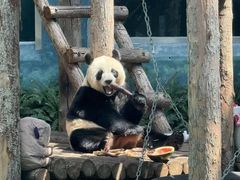 -大连森林动物园
