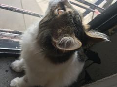 -五月木作·DIY木作文创体验店(北京路店)