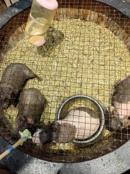 -酷嗒动物文化乐园(cutezoo西溪乐天城店)