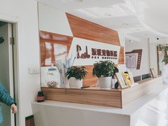 -派联宠物医院·24h·CT·异宠