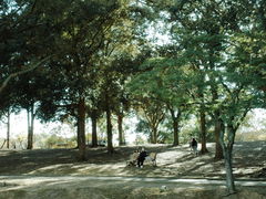 -奈良公园