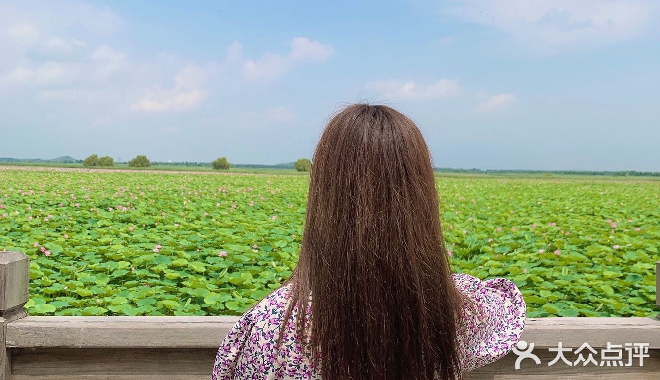  
沈阳周边游🌟旅行推荐🌟夏日避暑好去处