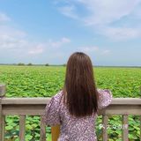  
沈阳周边游🌟旅行推荐🌟夏日避暑好去处