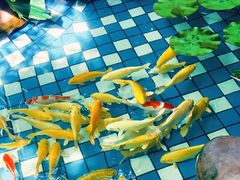 -大鹅岛绿色生态美食园