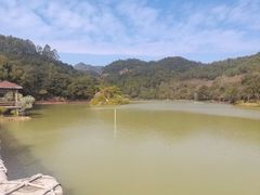 -广州白江湖森林公园