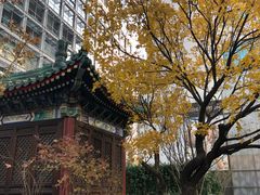 -王府半岛酒店