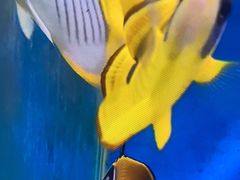 -嘉兴海底世界