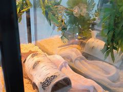 -上海昆虫博物馆